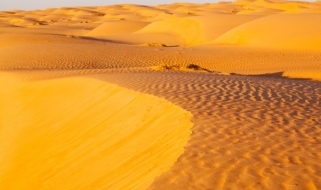Panoramica del Wahiba Sands Le spettacolari dune a perdita d'occhio del Wahiba Sands