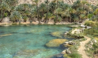Acque e vegetazione di uno wadi Wadi: le oasi nel deserto dell'Oman