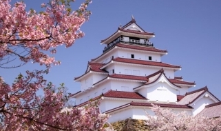 Il Castello di Takashima a Suwa Castello giapponese circondato dai ciliegi in fiore