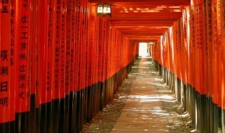 La sequenza di torii del santuario di Fushimi Inari-Taisha Viaggio in Giappone - vista prospettica all'interno di un tempio