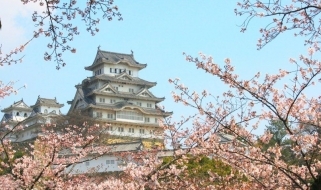 Il Castello di Himeji nella Prefettura di Hyogo La fioritura dei ciliegi in Giappone