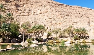 Wadi Bani Khalid Una tappa da non perdere in un tour dell'Oman: Wadi Bani Khalid