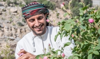 Raccoglitore in un roseto Un agricoltore omanita intento nella raccolta dei petali di rosa
