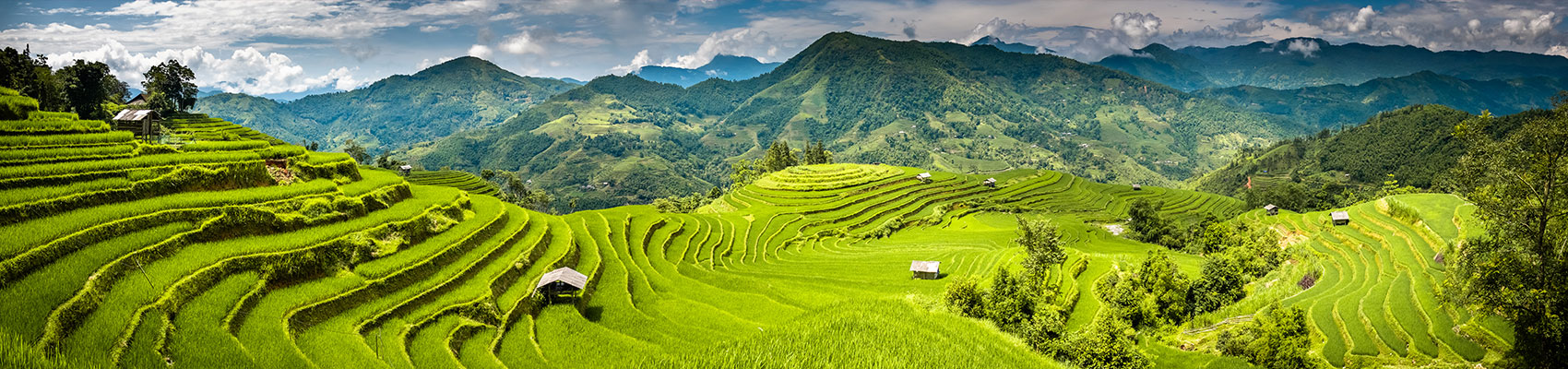 <span>Magia d'Oriente</span><h2>Vivere il Vietnam in Tour</h2><div>Scopri il Vietnam con Originaltour</div>