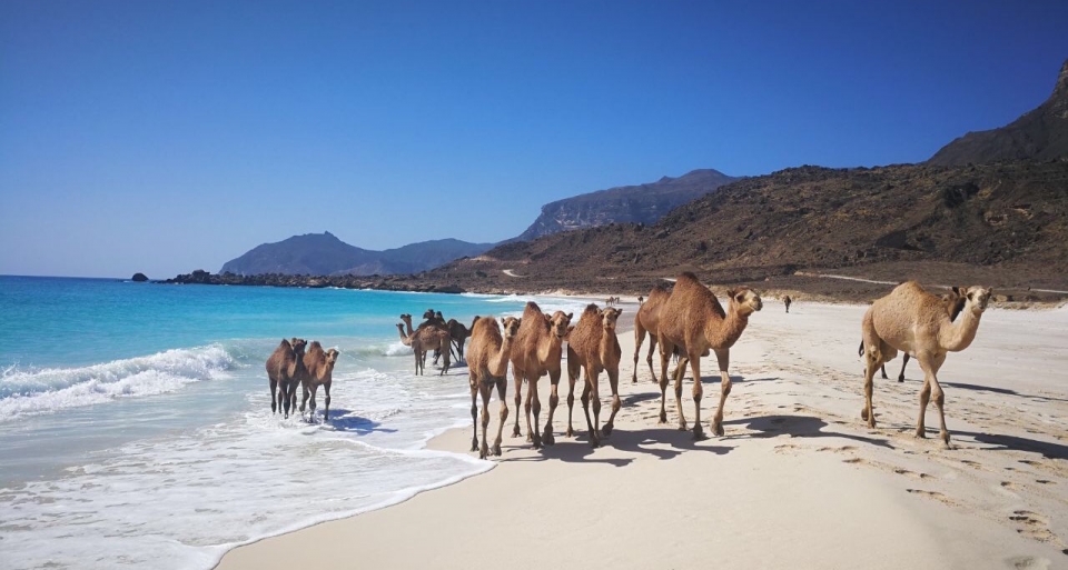 scenari che vi resteranno nel cuore nei nostri tour combinati Dubai-Salalah