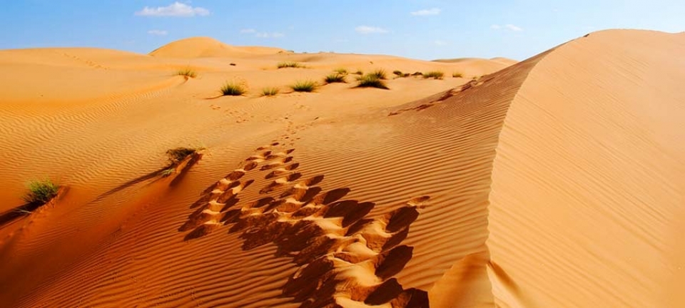 Tour Oman 2020 nel deserto