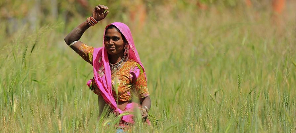 Donna fotografata in India durante il tour di gruppo di 10 giorni