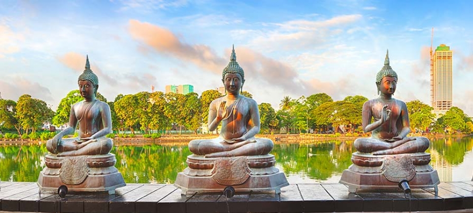 Statua immortalata durante l'itinerario natura in sri lanka di 8 giorni