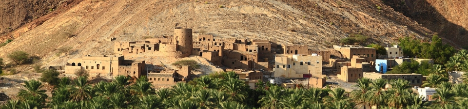 Foto di un forte immortalato durante le escursioni cultura da Muscat in Oman