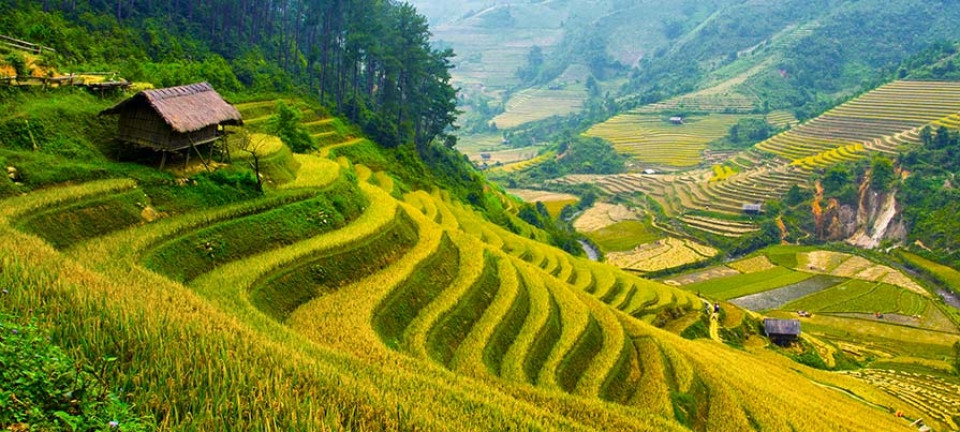 Natura fotograta durante l'estensione di viaggio a Sapa in Vietnam