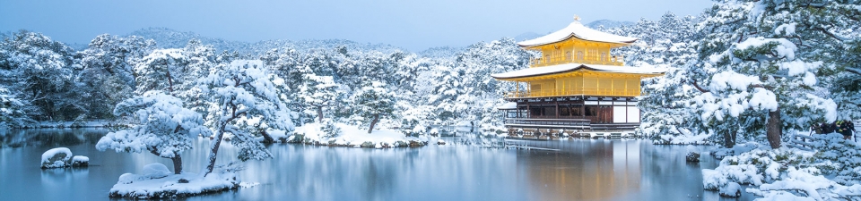 Natura visibile in Giappone durante l'inverno, uno dei periodi migliori per visitare il Sol Levante