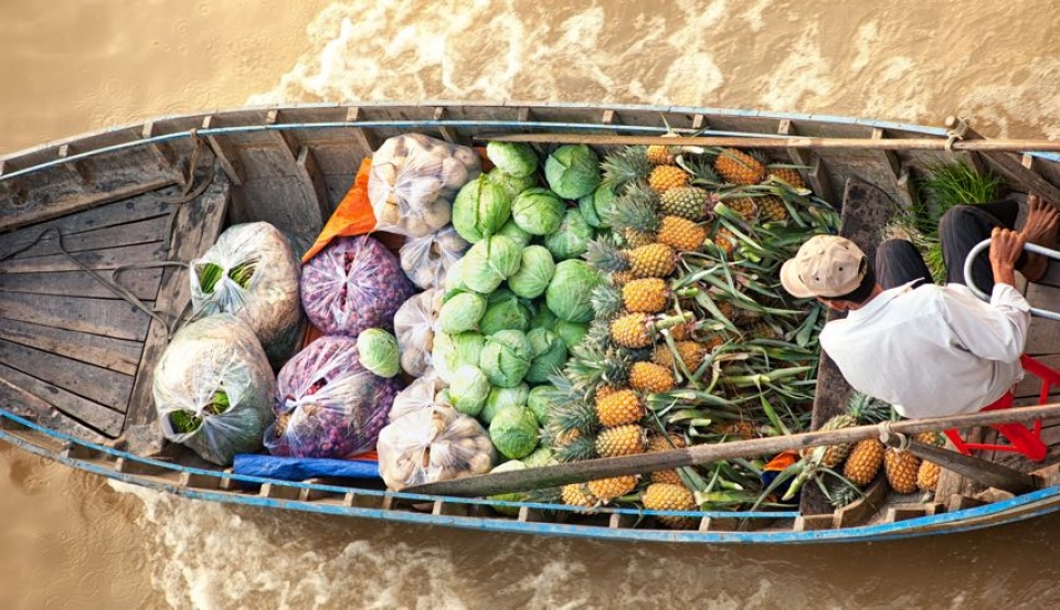 verdure e mercato visibili durante il viaggio 10 giorni Vietnam del nord con trekking