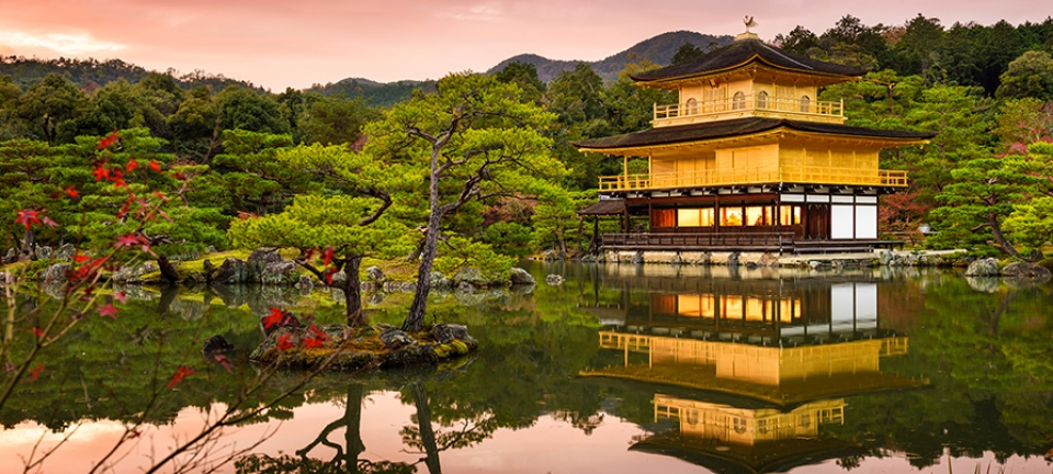 Il tempio d'oro di Kyoto fotografato durante il tour di 7 giorni tra Tokyo, Kyoto e Osaka