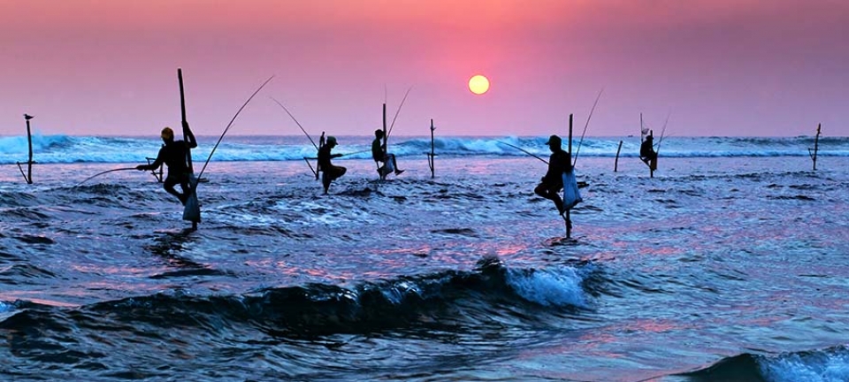 Mare e natura dello Sri Lanka durante il tour di gruppo di 8 giorni