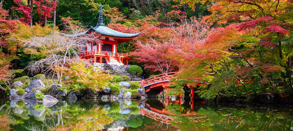 Uno dei templi più belli del Giappone visibile durante il tour di 13 giorni nel Sol Levante