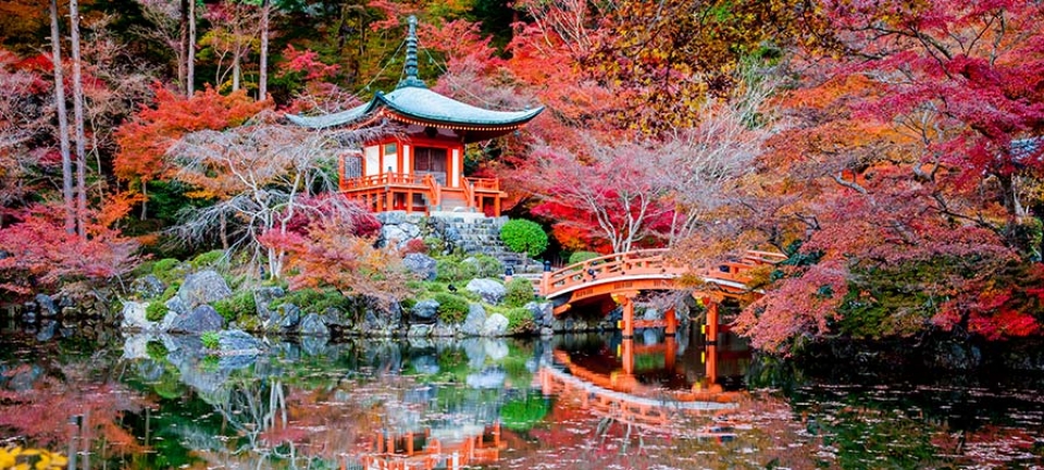 Foto di una pagoda dal viaggio di nozze a giugno in Giappone