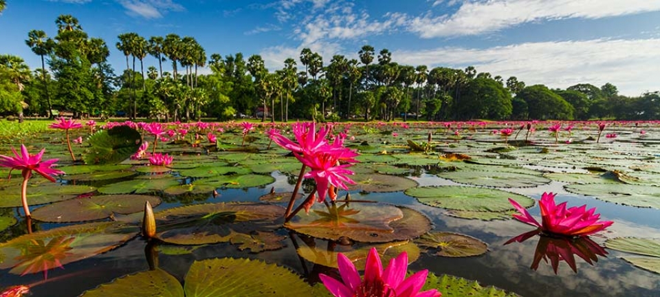 Fiume della Cambogia fotografato durante il viaggio combinato Vietnam e Cambogia