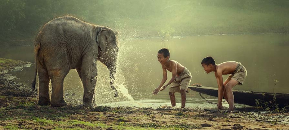 elefanti e bambini, tradizione e nuove generazioni del Laos