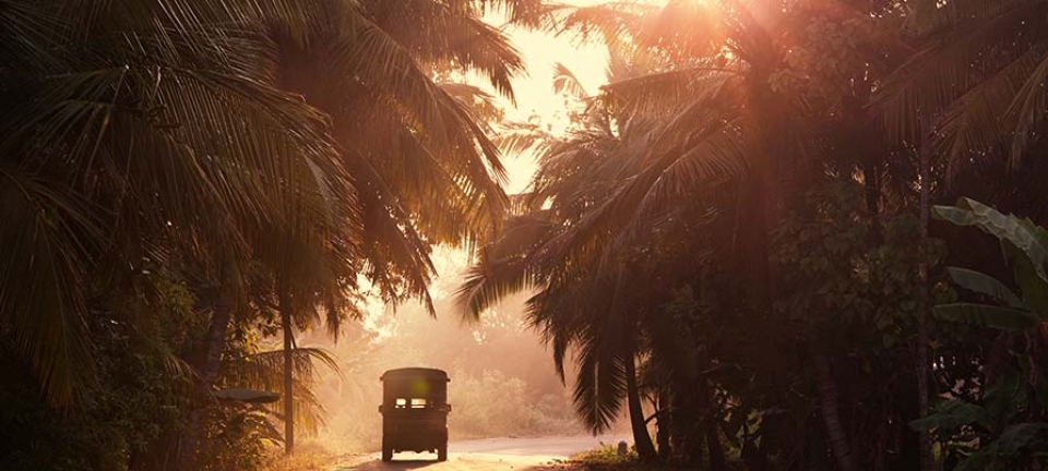Natura ed elefanti fotografati durante i loro minitour in Sri Lanka in italiano
