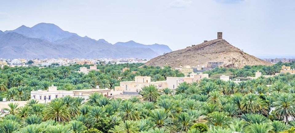 paesaggio omanita durante il viaggio del tour di gruppo in Oman