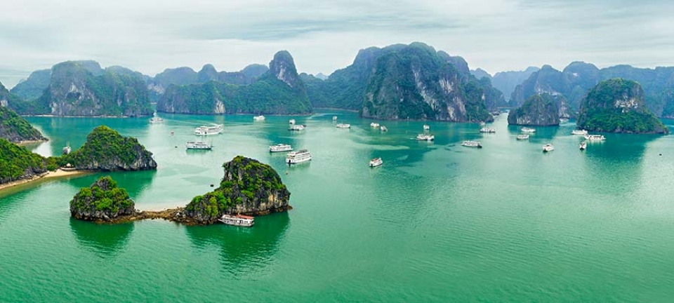 mare e flora nel viaggio di nozze in Vietnam
