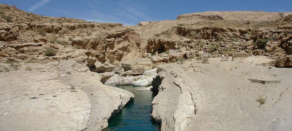 foto del parco marino delle isole Daymaniyat escursione in barca prenotabile da Muscat 