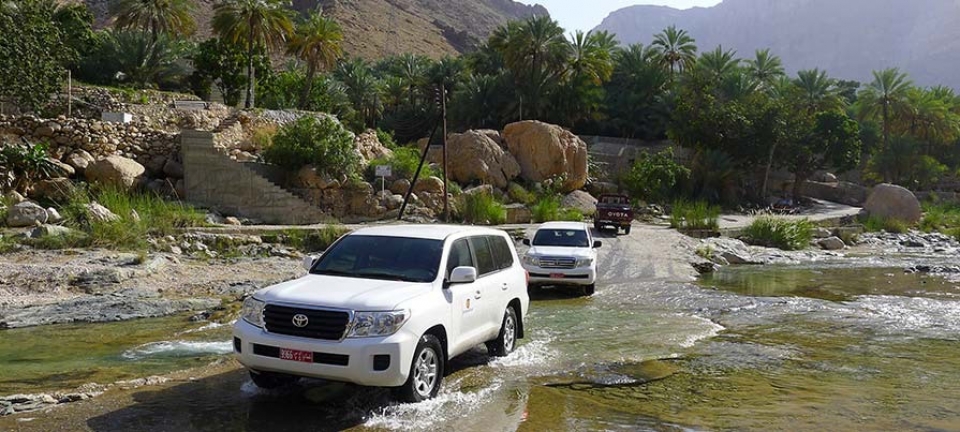 Tour di gruppo Oman - Fuoristrada presso wadi