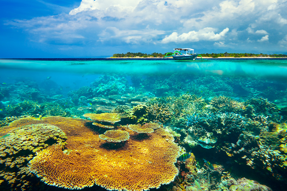 Barriera corallina per immersioni subacquee a Bali