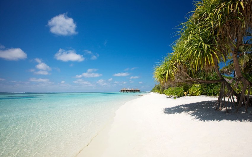 Spiaggia delle Maldive fotografata durante il viaggio tra Oman e Maldive di Originaltour