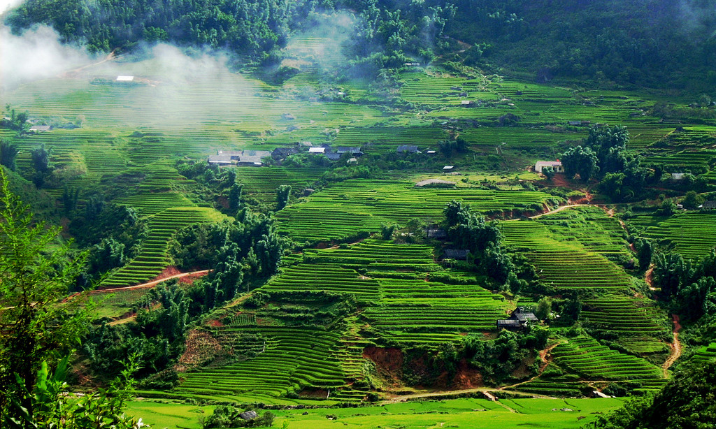 Natura e campi di Pu Luang visitati durante il tour estensione