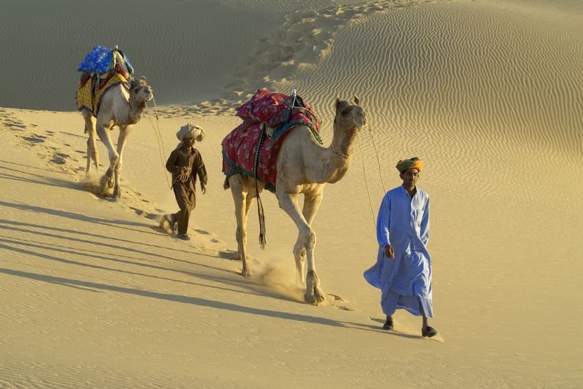 Foto del deserto dell'India con cammelli fotografato durante il tour del deserto