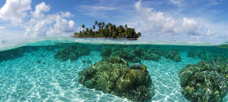 Acqua cristallina fotografata durante il viaggio con soggiorno mare in Micronesia