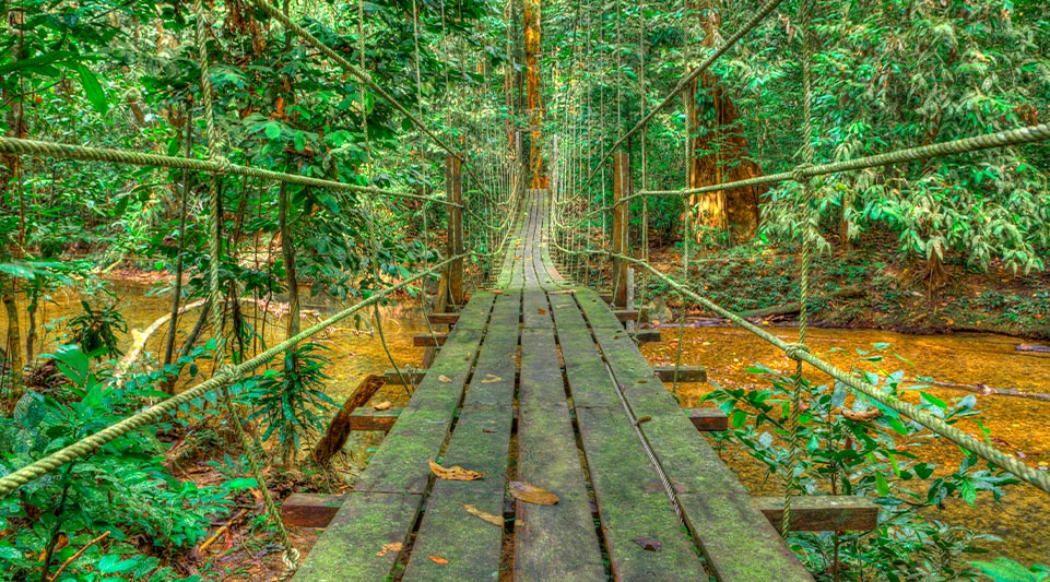 Foto di un pontile nella natura durante un viaggio avventura nel Sabah