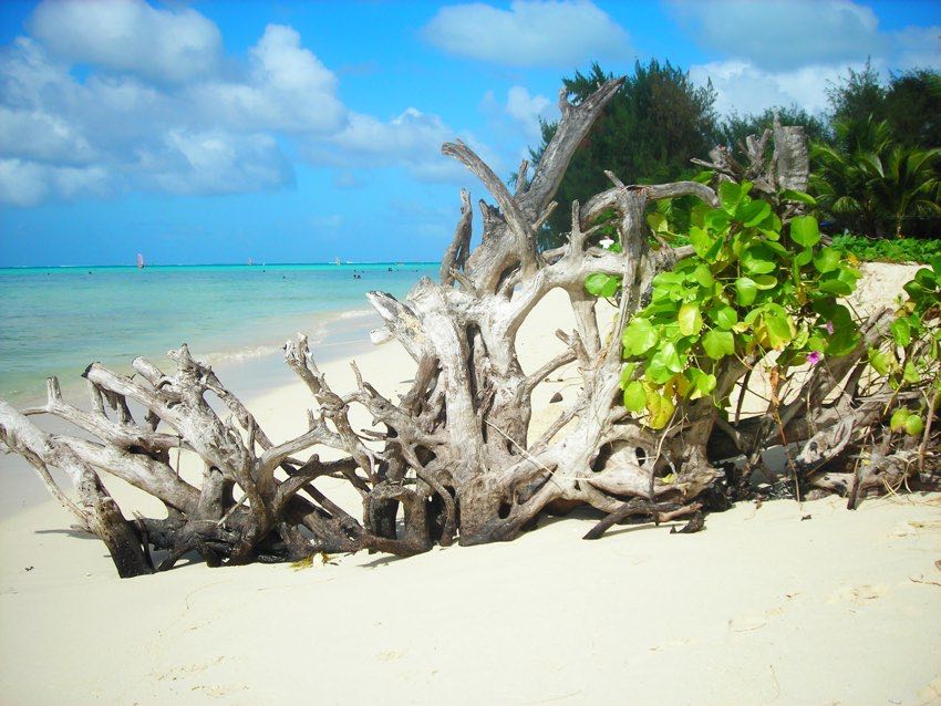 Spiaggia e natura, cose da vedere in Micronesia immortalate durante il viaggio