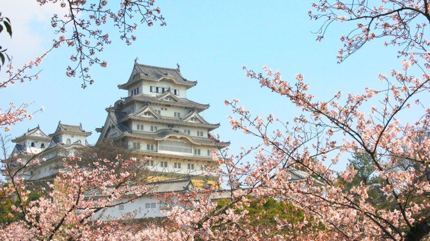 Castello di Osaka fotografato durante il tour in Giappone durante l'Hanami