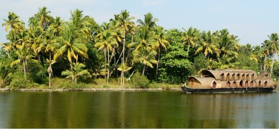 Natura del sud dell'India immortalata in viaggio