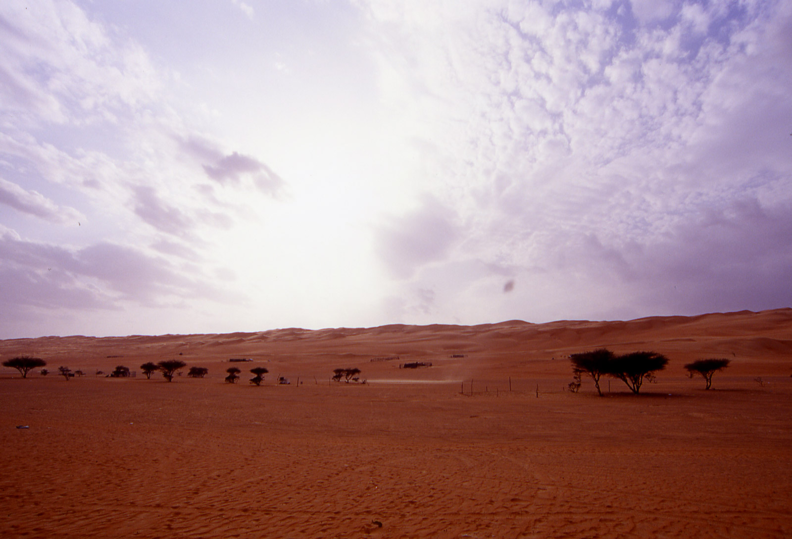 Esperienza del deserto durante il viaggio Oman Classico Capodanno nel deserto