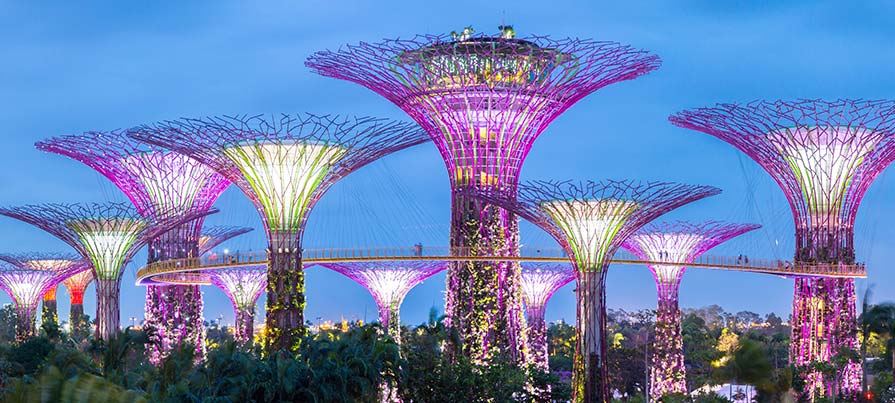Alberi artificiali fotografati durante il viaggio a Singapore