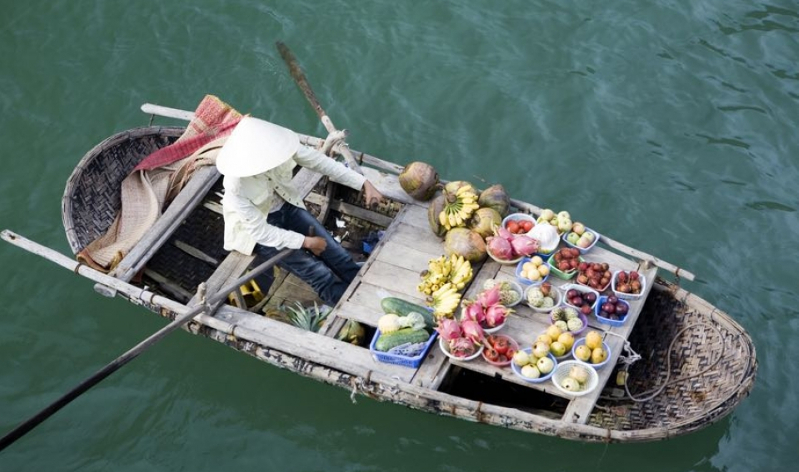 uomo vietnamita in barca con frutti fotografato durante il tour Vietnam