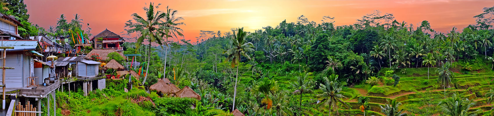 Foto della natura durante il tour di lusso a Bali classico e crociera Komodo