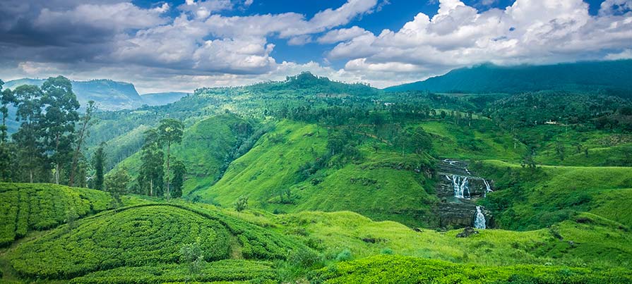 Resort di lusso sulle colline dello Sri Lanka durante un viaggio organizzato da Originaltour