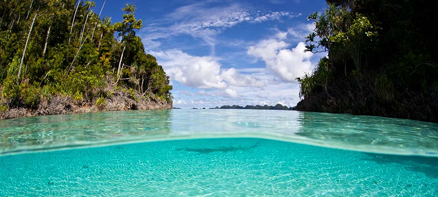 Acque cristalline tra l'isola degli Dei, Bali e GIli nel tour in Indonesia